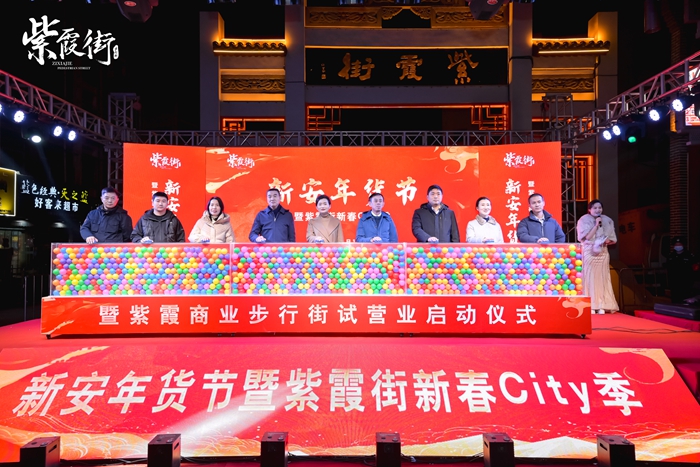 网站700小图01